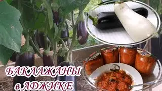 БАКЛАЖАНЫ в АДЖИКЕ на зиму без заморочек  Просто бомба особенно зимой