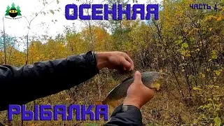 Осенняя рыбалка. Часть 1