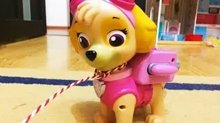 Алиса Мими Лисса прислала подарок ❄Алина  и Юля рады