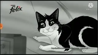 Felix Ukraine effects 1
