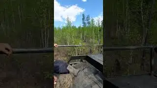 ТОпчим тайгу на БТЛБ