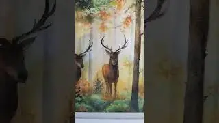 Тайны леса