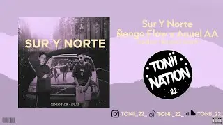 Ñengo Flow x Anuel AA - Sur y Norte | Techno Remix PROD TONIISP