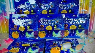 Обитатели Океана! Что Умеют Эти Необычные Морские Жители? Сюрпризы из Красного-Белого!