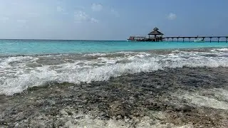 Я заработала себе на Мальдивы травами, и научу вас, как это сделать.