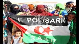 Lanonyme  _ Freedom Polisario