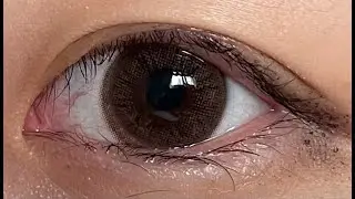 [렌즈미] 큐비즘 실리핏 플리 초코 보정 없는 솔직 리뷰 / [LENSME] CUBISM SILIFIT PLY CHOCO COLOR CONTACT LENS REVIEW