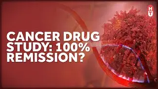 100% Remission Rate in Cancer Drug Study is Unprecedented