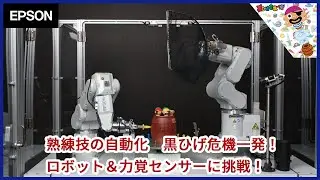 熟練技の自動化　黒ひげ危機一発！　ロボット＆力覚センサーに挑戦！