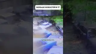 Поджег пух и сжег шесть машин