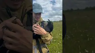 Аж зевать захотелось 