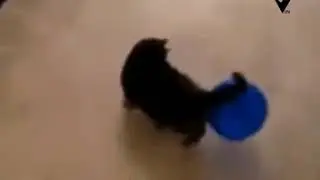 Mondays Meme & GIF