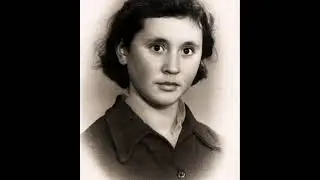 Звёзды