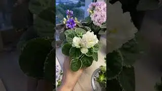 Обзорчики 28.04 ч.2
