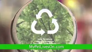My Pet Lives On