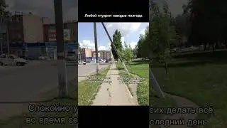 Всегда выбираешь 2-й путь? Приходи на мой вебинар (ссылка в описании) и я научу тебя учиться вовремя