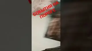#феникстаро