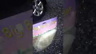 Getting cat and bunny mascot head+bunny feet