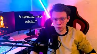А нужна ли тебе собака ?!