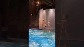 freestyle