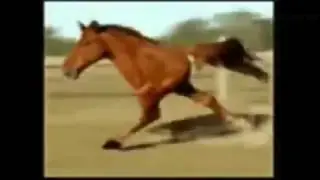 Рики Ф пытается ускорится. Пошумим блять