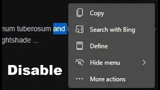 Disable Edge browser auto text selection