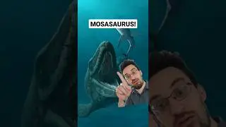 Mosasaurus! 