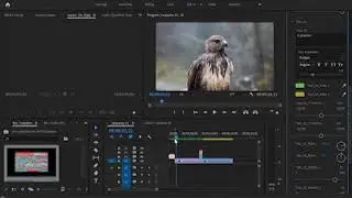 template adding/template editing %%TRS premier pro%%