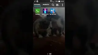 Как скачать взломанный Тап Тап Даш