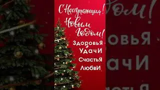 С НОВЫМ 2021 ГОДОМ [#2]