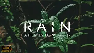 Rain cinematic film❤ | Rain B roll | nature of Sri Lanka | Beauty of nature | natures beauty in Asia