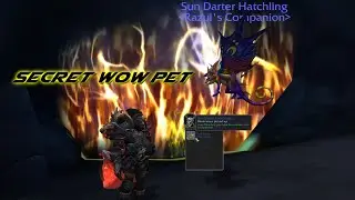 Secret World Of Warcraft Pet - Caverns Of Consumption (Sun Darter Hatchling)