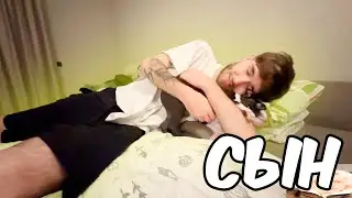 КОРЕШ И ВИШЕНКА ИГРАЮТ С НОВЫМ ЩЕНКОМ