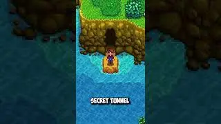 Secret beach farm tunnel in Stardew Valley