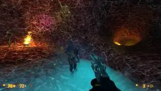 Black Mesa Funny bug with HEV Zombie