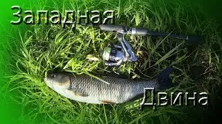 Западная Двина. В поисках голавля ч.1