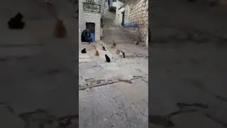 Лекция о вреде беспорядочных связей