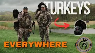Pennsylvania Turkeys | Early  Morning Double |The Bearded Buck Turkey Season 24