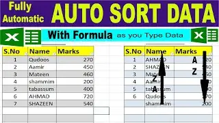 Fully Automatic Auto Sort Data as you type in Excel by learning Center in Urdu/hindi