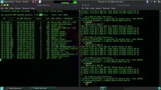 NetDiscover - How to use it