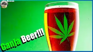 Cerveja com M@CONH@, trigo e beterraba!! Bate Papo BJCP #010