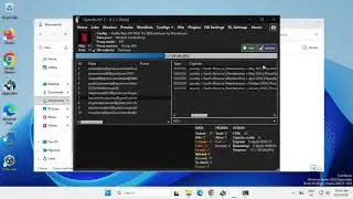 Netflix Config Proxyless 2026 New API