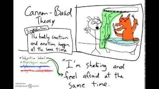 Theories of Emotion