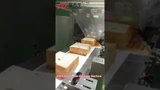 508S Box motion package Machine Flow wrapper flowpack wrapping