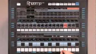 Rhizome tutorials: Automations