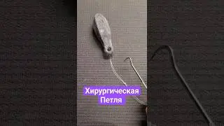 Хирургическая Петля 