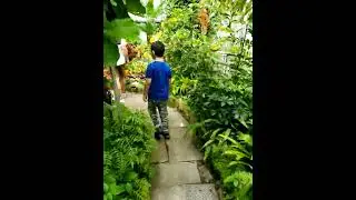 James Cheng Jacqueline Cheng Allan Garden botanical tropical forest plants humid greenhouse