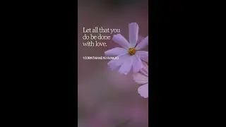 1 Corinthians 16:14