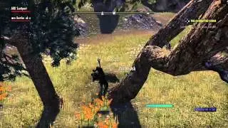 ESO: Woodwork survey III Craglorn
