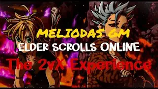 2vX, The Experience - ESO - MagDK & MagPlar (Double POV's) feat Mvffin 🔥 #2vX #ESO #MONTAGE